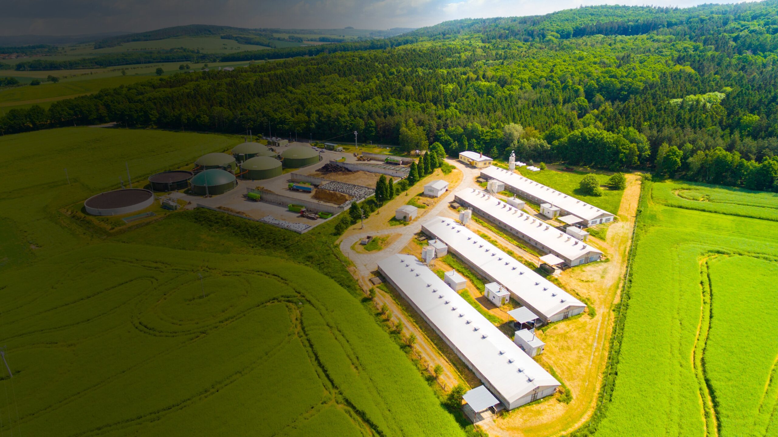 Deep Dive into Sustainable Fuel Streams: Biofuels, Biogas, SAF, and Maritime Fuels