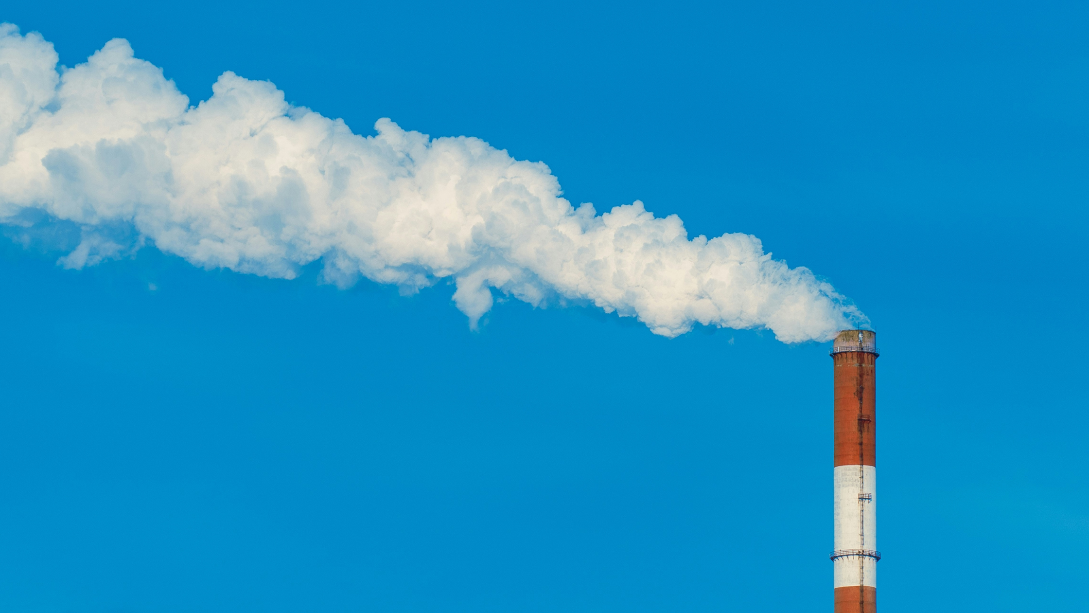 The Role of Biofuels in Achieving Net-Zero Emissions