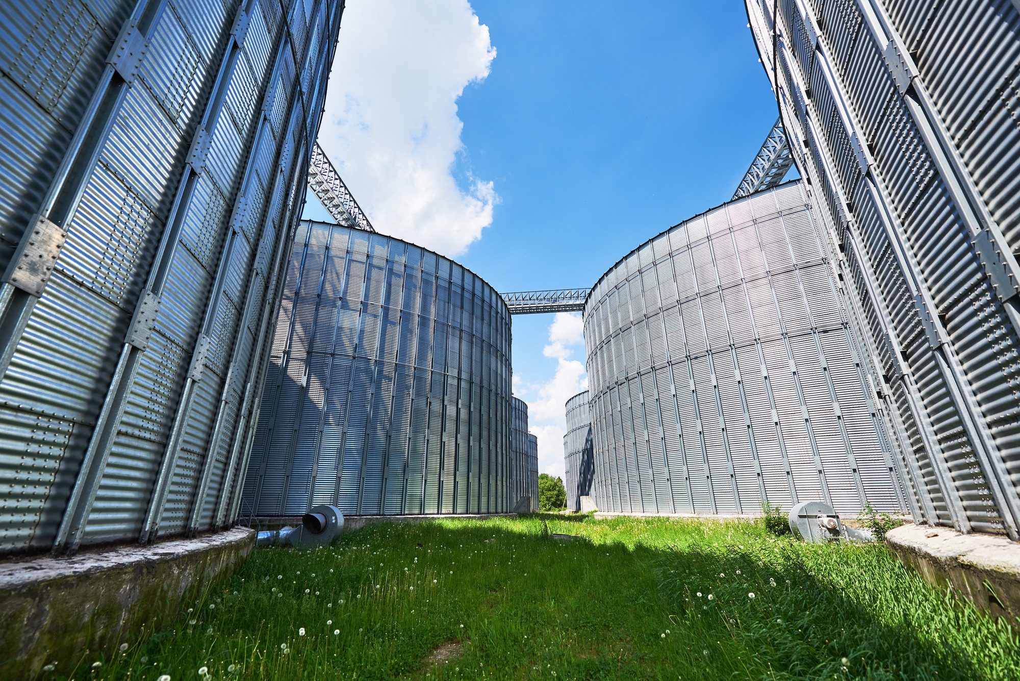 Biogas: As a Game Changer in Energy Transition