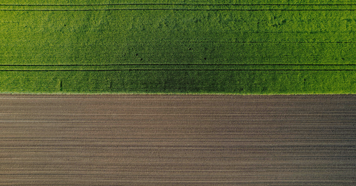 Trends & Predictions for Biofuels by 2030